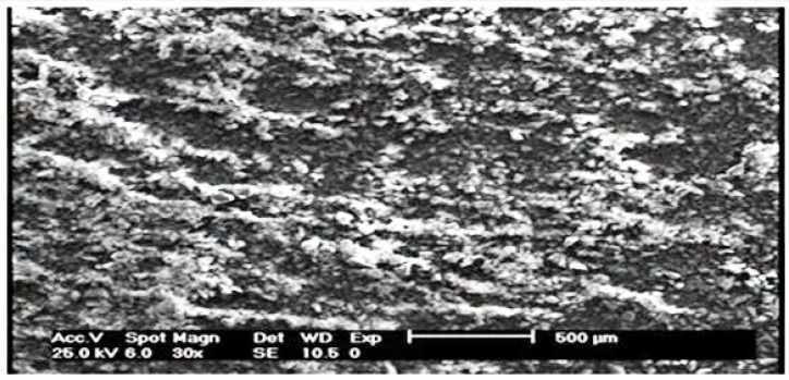 Scanning electron microscopy (SEM) photograph of the PAID-GSG