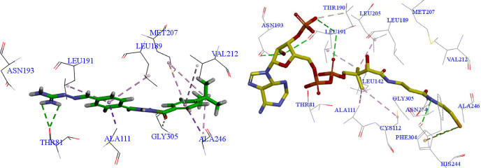 Interactions of compound 3d (left) and co-crystallized ligand MLC (right) with E. coli FabH