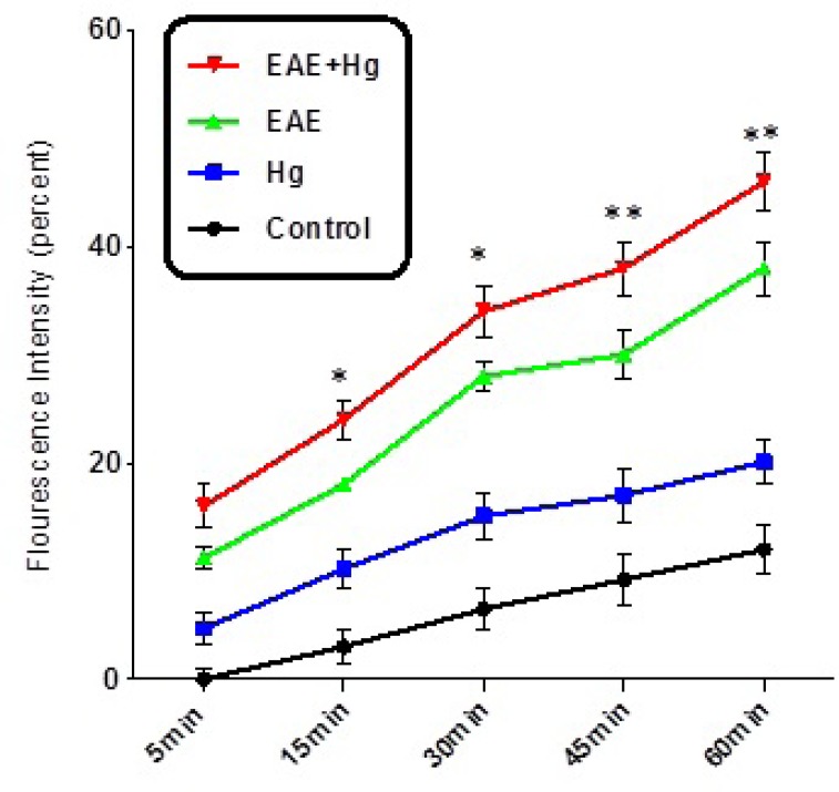 Decline of MMP. Decline of MMP significantly decreased in EAE + Hg group compared to EAE group. Values expressed as percent of MMP collapse (n = 8). *** represents significant difference between control and EAE groups, also $$$ represents significant difference (P < 0.001) between EAE and EAE + Hg groups