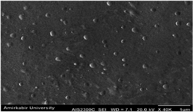 SEM image of SLN -DTX- Anis nanoparticles