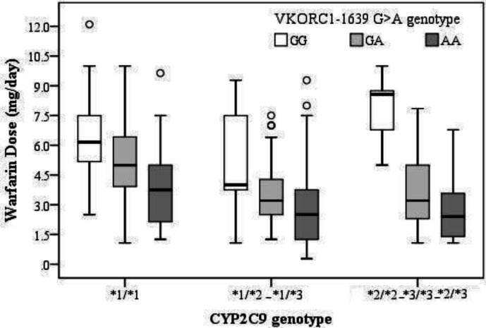 Boxplot showing different genotype group of CYP2C9 and VKORC1 -1639 against daily warfarin dosage (mg/d). Boxes indicate the median and interquartile ranges. Vertical lines above and below boxes indicate the minimum and maximum values