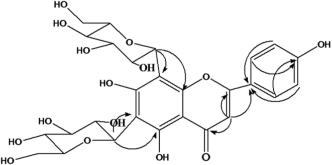 key HMBC correlation of Apigenin-6,8-di-C-glucoside