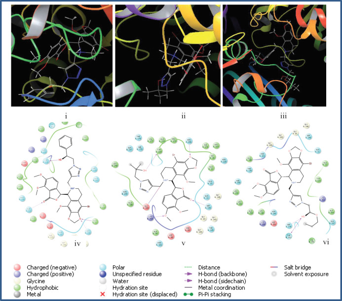 2D and 3D pictures of binding sites for compounds, 5p (i, iv), 5q (ii, v) and 5r (iii, vi) as the most effective ligands in tubulin active site.