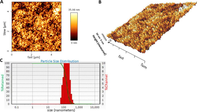 (A and B) Atomic-force microscopy (AFM) image and (C) dynamic light scattering (DLS) histogram of carvacrol-loaded nanoparticles. The loading was performed with the weight ratio of 2:1 (BSA to carvacrol). AFM and DLS results of the nanoparticles were evaluated in three independent experiments