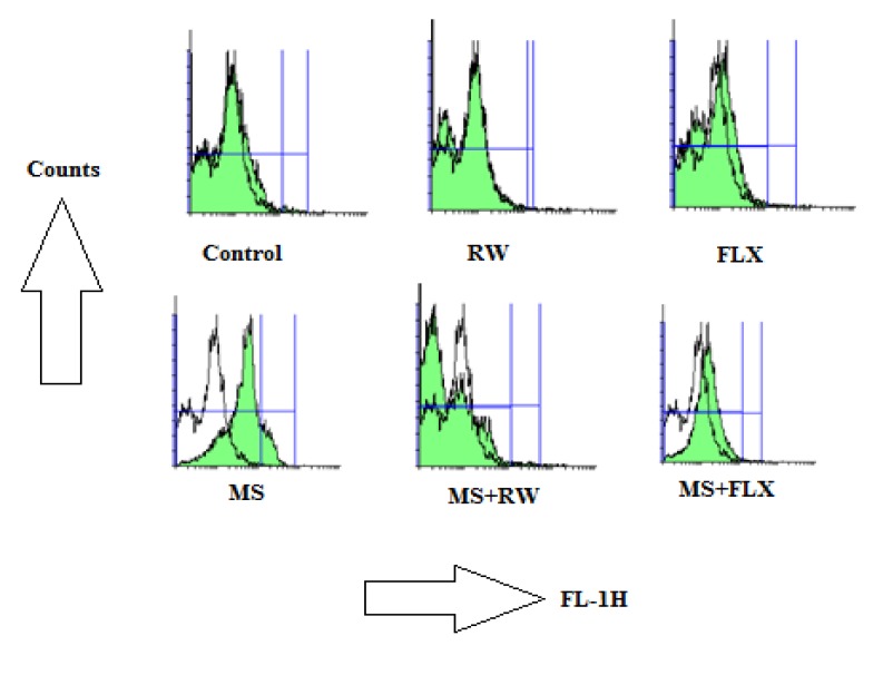 Effects of MS on ROS formation in the hippocampus: The ROS in each sample was read with 485 nm excitation and 520 nm emission using a fluorimeter after 20 min in different animal groups. The signs for increased ROS formation in flowcytograms are shifting the ROS peak to the right and increasing of AUC
