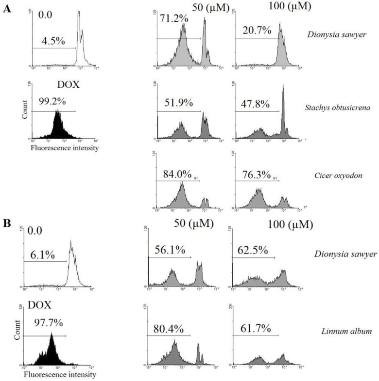 Flow cytometry histograms of apoptosis assays by PI method of CHO and B16/F10 cells: (A) CHO cells were incubated with 50, 100 µM of Methanol extracts of Dionysia sawyer, Stachys obtusicrena and Cicer oxyodon and (B) B16/F10 cells were incubated with 50, 100 µM of D. sawyer and Linnum album for 48 h. All of the components induced cell death through apoptosis. All experiments were done in triplicate