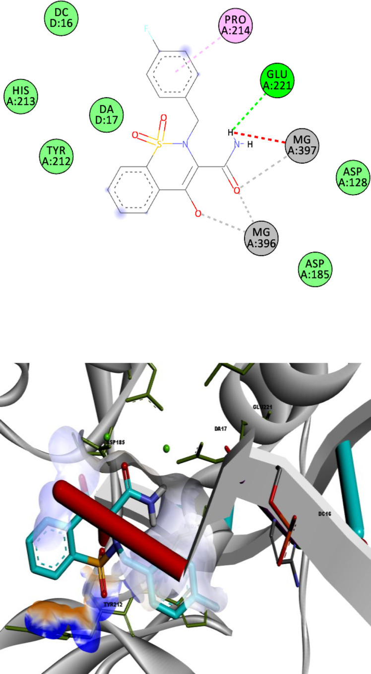 2D and 3D alignment of best-docked conformer of compound 13l (shown in blue) in the PFV IN active site