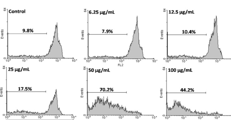 Flow cytometry histograms of apoptosis assays by PI method in HeLa cells. Cells were treated with different concentration of CH2Cl2 fraction for 48 h. Sub-G1 peak as an indicative of apoptotic cells, was induced in CH2Cl2 fraction treated but not in control cells. CH2Cl2 fraction-treated cells exhibited a sub-G1 peak in HeLa cells in a concentration dependent manner that indicates the involvement of an apoptotic process in CH2Cl2 fraction-induced cell death