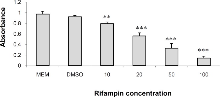 The effects of Rifampin on HepG2 cells in MTT assay.