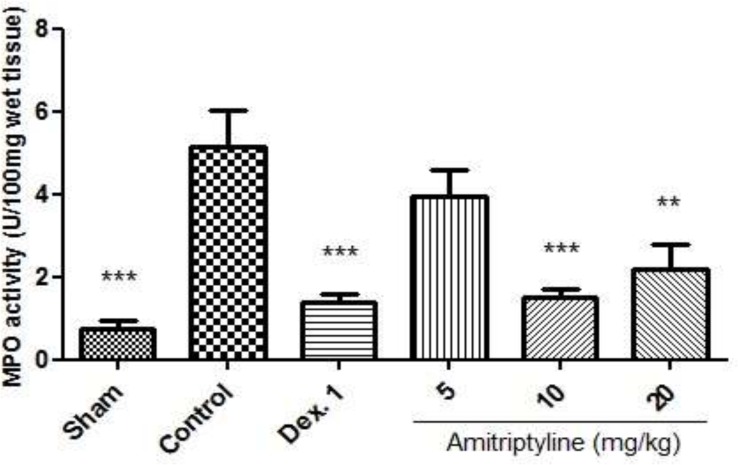 Effect of amitriptyline (5, 10, 20 mg/kg, i.p.) on myeloperoxidase (MPO) enzyme activity in the colonic tissue; i.p. =intraperitoneally, Dex.1=dexamethasone (1 mg/kg); Values are presented as mean ± S.E.M of six rats in each group; ** P<0.01, *** P<0.001 compared to control, one-way ANOVA followed by Tukey test