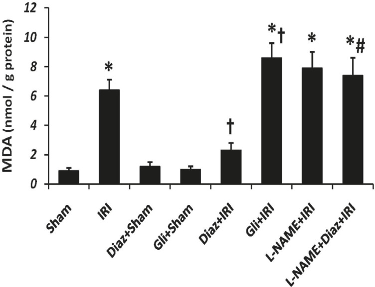 Muscle tissue Malondialdehyde (MDA) level as an index of lipid peroxidation was measured 2 h after the reperfusion. Data are given as Mean ± SEM. Ischemia reperfusion injury (IRI), Diaz: Diazoxide (40 mg/Kg), Gli: Glibenclamide (5 mg/Kg), L-NAME (20 mg/Kg). * p < 0.001 vs. Sham, † p < 0.05 vs. IRI and # p < 0.01 vs. Diaz+IRI group