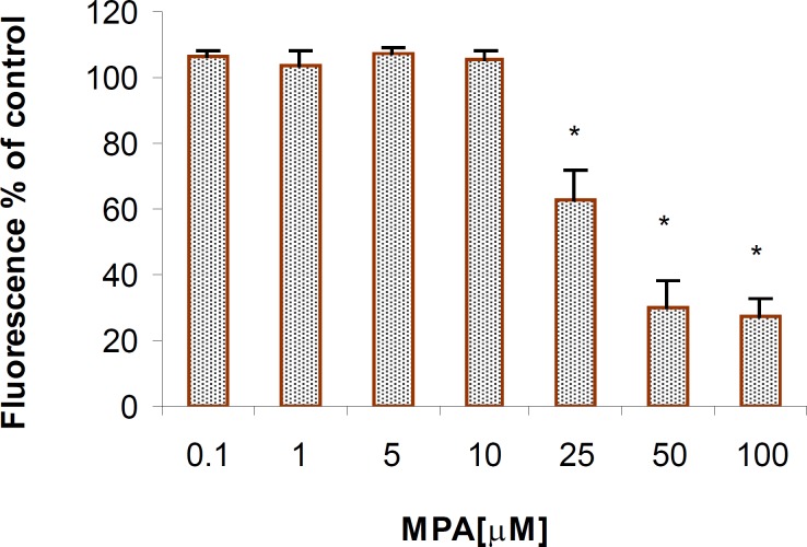 The cytotoxic effect of MPA on PTO cells (AB reduction); Significant differences are observed between the control and the cells that were exposed to concentrations higher than 25 μM of MPA. The columns indicate the mean of percentages of three independent experiments that were conducted in triplicate and error bars represent SEM