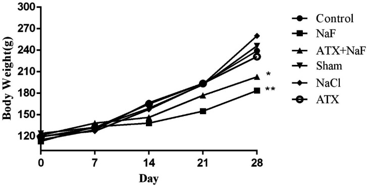 Effect of NaF exposure and ATX pretreatment on the body weight of rats. The rats were treated with 270 ppm NaF alone (NaF), 25 mg/kg bw/day ATX pretreated (ATX+NaF), and 25 mg/kg bw/day ATX alone (ATX). The control group received no treatment, whereas sham and NaCl groups were treated with olive oil and NaCl solution, respectively
