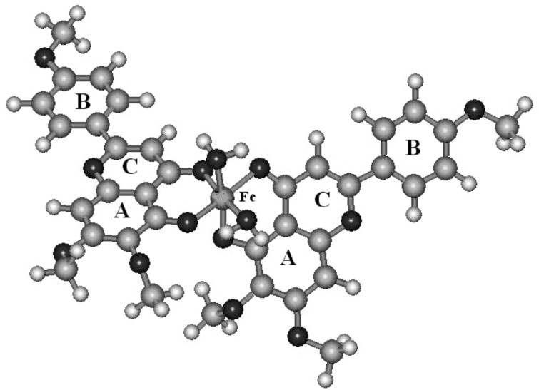 The proposed structure of Fe (III) complexation with salvigenin