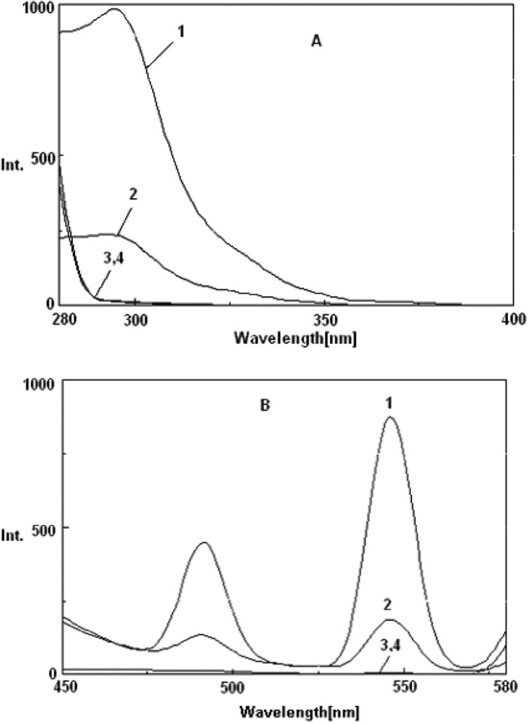 Terbium-sensitized fluorescence excitation (λem= 545 nm) (A) and emission (λex= 300 nm) (B) spectra: (1) Tb3+-phen; (2) Tb3+-phen -MTX; (3) Tb-MTX; (4) Tb3. Conditions: [Tb3+] = 2×10-4 mol/L, [MTX] = 2 μg/mL, [phen] = 10-4 M, (Tris-HCl = 0.01 M, pH = 7.0).
