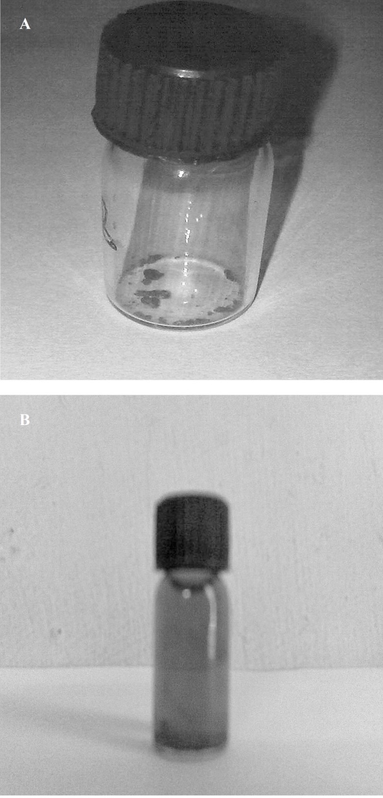 (a) Colloidal nanogold solution; (b) Iron oxide nanoparticles