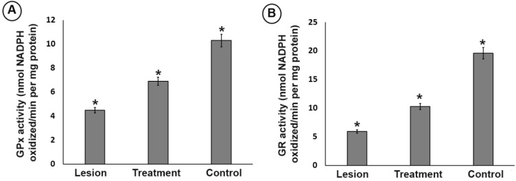 Effect of trehalose on the (A) glutathione peroxidase (GPx) and (B) glutathione reductase (GR) antioxidant enzyme activity in ipsilateral of striatum and substantia nigra from different groups. In the substantia nigra, the activity level of GPx and GR in the lesion group was significantly lower than that of the treatment and control groups. However, 3% trehalose in the treatment group inhibited further decrease in the GPx and GR than the lesion group. (*P < 0.05)