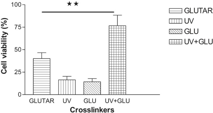 Viability of normal cells treated with nanoparticles which were crosslinked with different methods. The highest level of viability was achieved when the cells were treated with nanoparticles crosslinked with a combination of UV and glucose. Data are presented as Mean ± Standard Error of Mean (n=4) of six independent experiments. (**) P < 0.01