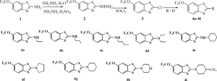 The synthetic procedure of riluzole derivatives and their structures