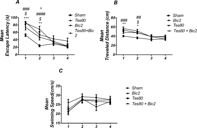 Comparison of testosterone 80, bicuculline 2, testosterone 80 + bicuculline 2 and sham operated group. There was a significant increase in escape latency in1st (*** P < 0.001) and 2 nd (** P < 0.01) days in testosterone treated animals, in 1st and 2 nd ($ P < 0.05) days in bicuculline treated animals, in 1st and 2 nd (### P < 0.001) days in testosterone + bicuculline treated animals compared to the sham operated group. There was a significant increase in escape latency in 2 nd (^ P < 0.05) day in the testosterone + bicuculline treated animals compared to the bicuculline treated animals group (A). Also, there was a significant increase in traveled distance in 1 st (** P < 0.01) and 2 nd (* P < 0.05) days in testosterone treated animals, in 2 nd ($ P < 0.05) day in bicuculline treated animals and in 1 st (### P < 0.001) and 2 nd (## P <0.01) days in testosterone + bicuculline treated animals compared to sham operated group (B). There was not a significant difference in swimming speed in days. There was not a significant difference in swimming speed in days (C). (RM) Two-way analysis of variance (ANOVA) followed by post hoc analysis (Tukey test) were used and P < 0.05 was considered to be statistically significant. (n = 6-8 for each group)