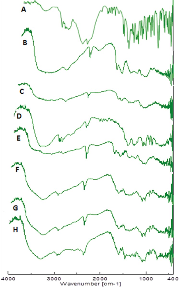 FTIR Spectra of promethazine hydrochloride (A), xanthan gum (B), chitosan (C), mannitol (D),chitosan/xanthan polyelectrolyte complex (E), physical mixture (F), unloaded nasal insert-C1(G) ,Drug loaded nasal insert formulation MC1(H).