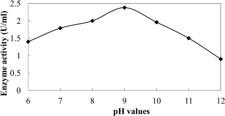 Activity of extracellular NR of C.phaseospora at different pH values.