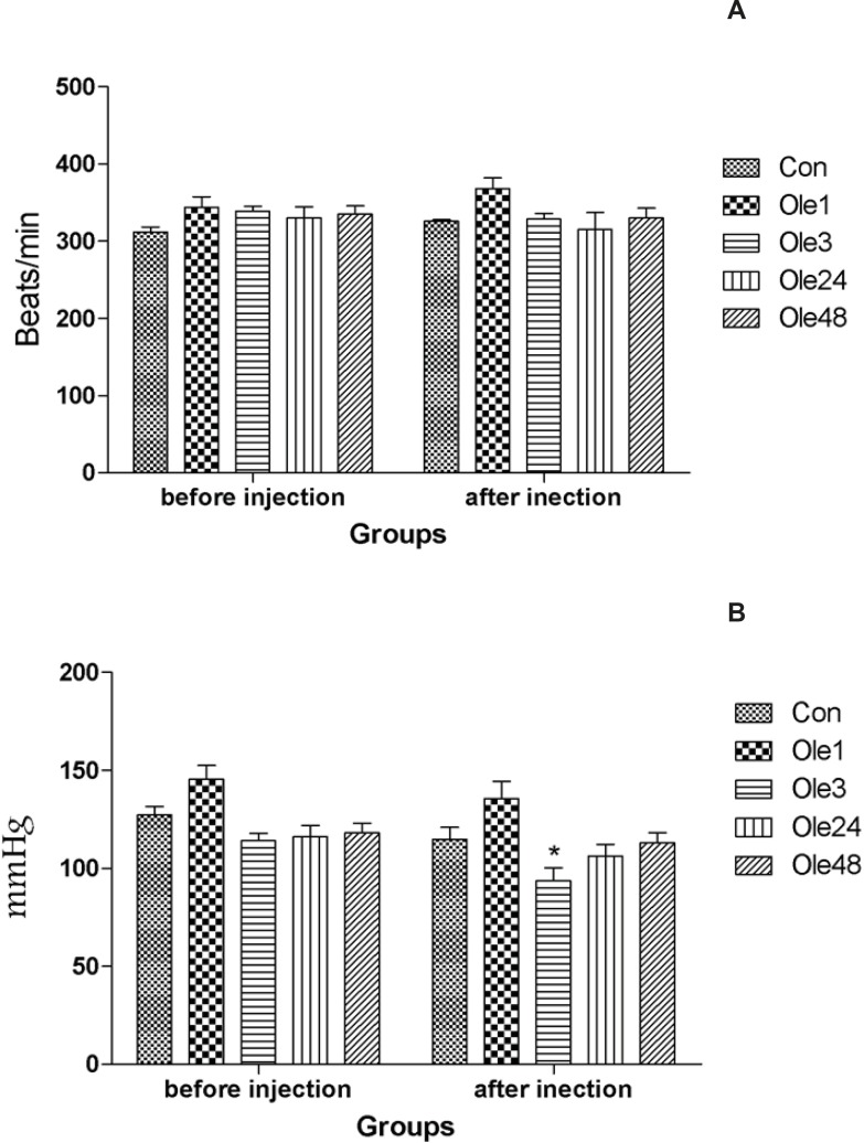 Hemodynamic parameters of rats received an oral single dose of 20 mg/Kg oleuropein before the intravenous infusion of aconitine (0.2 μg/min). A: Heart rate; B: Mean blood pressure. Con: control group; Ole1, Ole3, Ole24 and Ole48: mean groups that were given a single dose of oleuropein, 1, 3, 24 and 48 h before the infusion of aconitine, respectively. *: p < 0.05