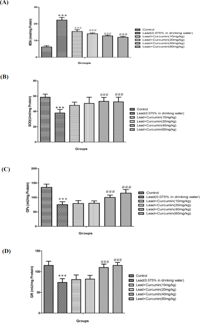 Effects of various doses of Curcumin (10, 20, 40 and 60 mg/kg) on Lead -induced lipid peroxidation (A), SOD activity (B), GPx activity (C) and GR activity (D) in rat isolated hippocampus