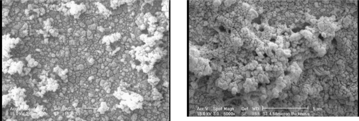 SEM images of a: electrodeposited PANI and b: electrodeposited PANI/MWCNTs composite.