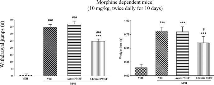 Effect of acute or chronic administration of PMSF on naloxone-induced withdrawal jump and weight loss in morphine-dependent mice. In the chronic study, animals received PMSF (60 mg/kg, i.p.) twice daily for 11 days 30 min before each morphine (10 mg/kg, s.c.) and in the expression phase, animals received PMSF (60 mg/kg, i.p.) on the 11th day, 30 min before last morphine (10 mg/kg, s.c.) injection. Naloxone (4 mg/kg) was injected into mice on the 11th day, 2h after morphine. Each point represents the means ± SEM. (n = 8). ***P < 0.001 vs. morphine treated group alone, ###P < 0.001 vs. vehicle-treated group (ANOVA Tukey's multiple comparisons test)