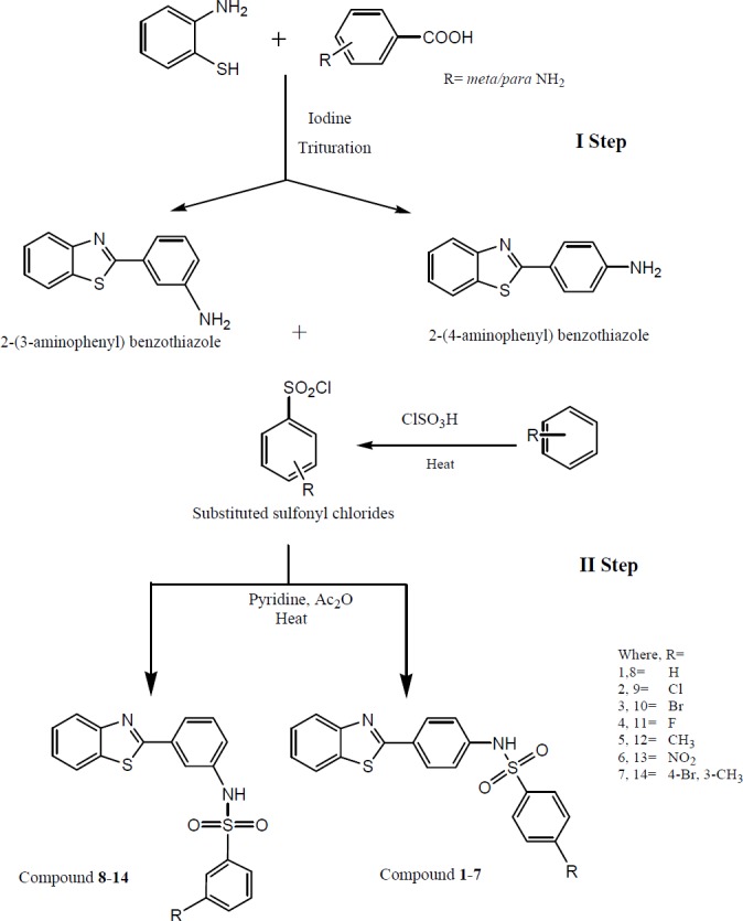 Synthesis of N-[(4-benzothiazole-2-yl) phenyl] ¾ substituted benzenesulfonamides