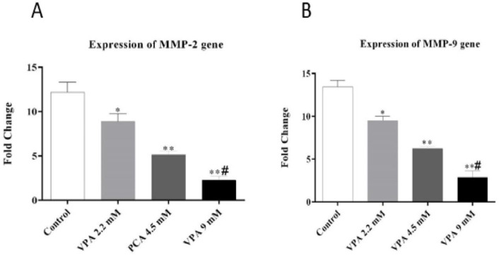 Effect of different concentrations of VPA on the expression of MMP-2 and MMP-9 gene after 72 h incubation. *(P ˂ 0.01), **(P ˂ 0.001) compared to control cells, #(P ˂ 0.001) compared to 2.2 and 4.5 mM of VPA
