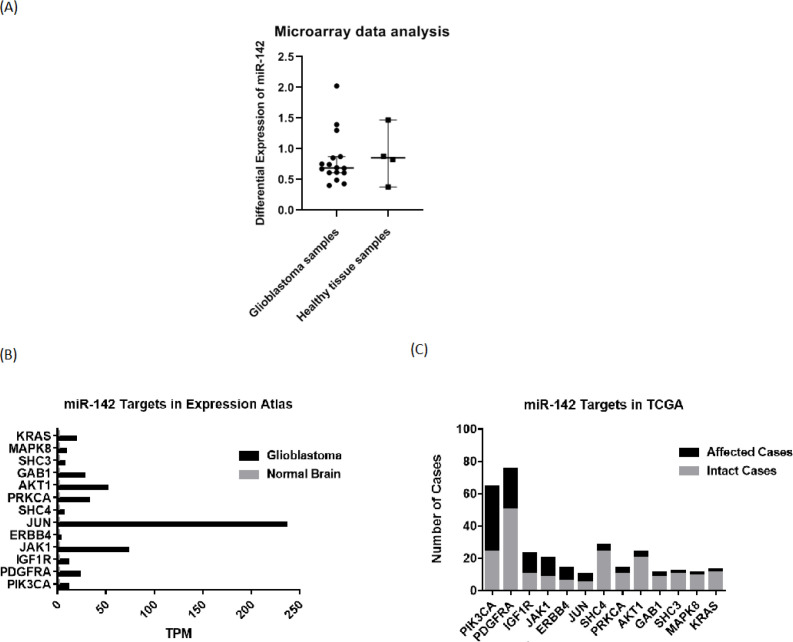 Bioinformatic investigation of miR-142 level and changes in its predicted target genes in glioblastoma. (A) The GSE90603 microarray dataset was provided that compares miRNA profiles of glioblastoma samples and healthy tissue samples in patients with GBM from the GEO database. Medians and 95% confidence intervals are specified in the graph. (B) According to the Expression Atlas website, the next-generation sequencing (NGS) data on expression levels of miR-142 predicted target genes were extracted. (C) The data from the TCGA website show that all the predicted target genes of miR-142 are altered in some cases of glioblastoma. GEO: Gene Expression Omnibus; TCGA: The Cancer Genome Atlas; NGS: next-generation sequencing