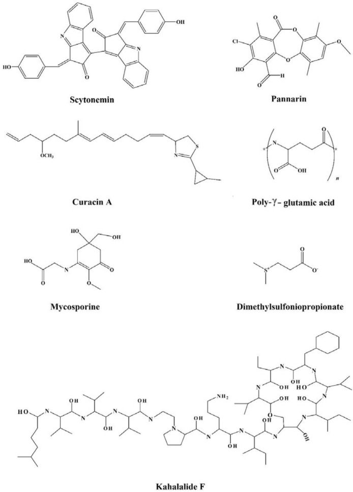 Chemical structures of the miscellaneous group of osmolytes