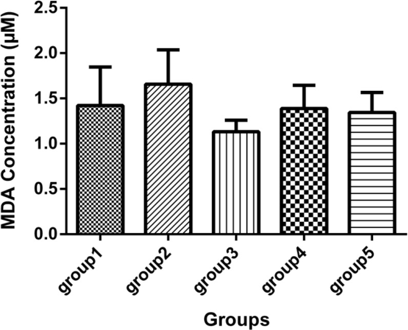 Malondialdehyde concentration (mcM) in the sera of 5 groups, with 7 mice in each group (Mean ± SD) 21 days after the last injection. Group1 received no medication. Group 2 received normal saline as i.p. and 1h later, DFP 1 mg/kg subcutaneously. Group 3 received neurobion in 150 mg/kg i.p. and 1 h later, DFP 1mg/kg subcutaneously. Group 4 received dexamethasone in 2 mg/kg i.p. and 1 h later, DFP 1mg/kg subcutaneously. Group 5 received Neurobion in 150 mg/kg i.p. and Dexamethasone in 2 mg/kg i.p. and 1h later, DFP 1mg/kg subcutaneously. There were no significant differences between the groups compared to group 2 p < 0.05, one-way ANOVA with post hoc Dunnett's multiple comparisons test.