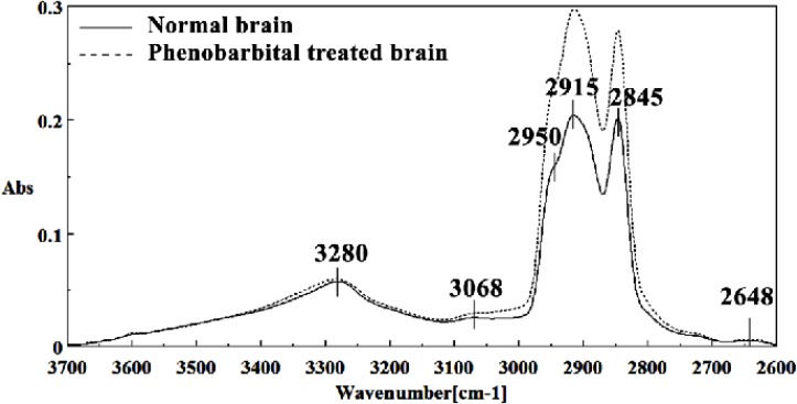 Mid-infrared spectra of normal (solid line) and phenobarbital treated (dot line) brain sections in the 3700–2600 cm-1 wave number region. The spectra are baseline-corrected and normalized.