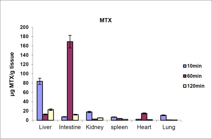 MTX tissue distribution in mice in different times after iv injection to mice (dose 70 mg/kg, n = 3)