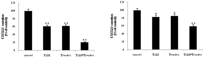 Secreted CXCL12 protein levels after treatment with TAM and/or TRAN for 48 h were determined by ELISA and the values were normalized relative to the total protein concentration. MCF-7 cells (A) MDA-MB-231 cells (B). Each bar is the mean of the three separate experiments.