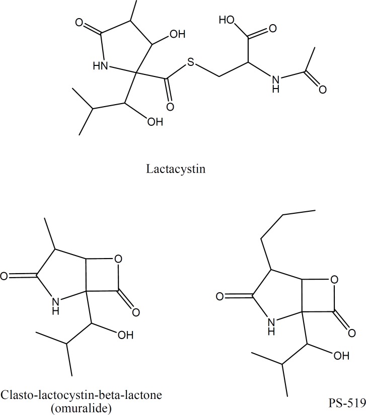 Chemical structure of Lactacystin and its derivatives