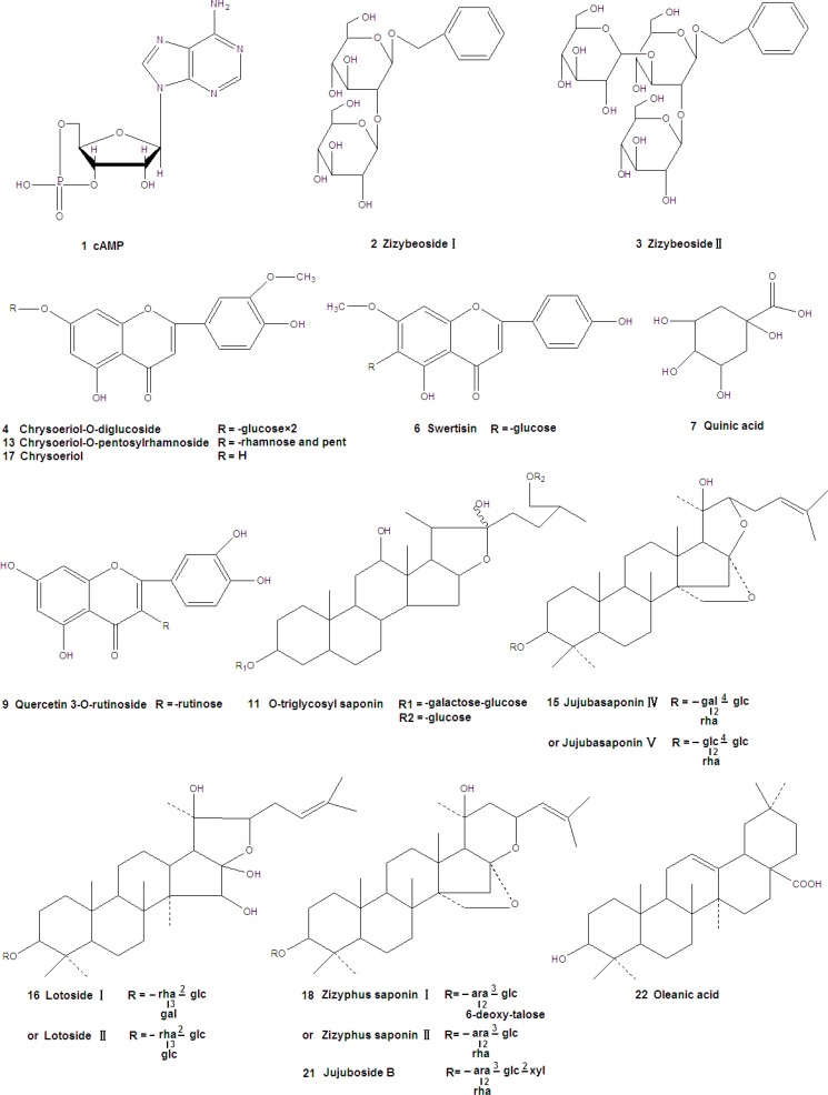 Structures of compounds identified in the extract of Ziziphus jujuba Mill