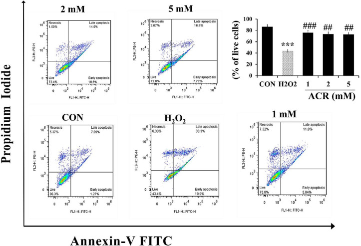 Flow cytometry evaluation of the effect of H2O2 and ACR (1, 2, and 5 mM) on mouse fibroblast cell line NIH-3T3. The lower left square shows the percentage of live cells with FITC- and PI-. The lower right square shows the percentage of early apoptotic cells with FITC + and PI-, the upper right square displays the percentage of late apoptotic cells with FITC + and PI +, and the top left square shows necrotic cells with FITC- and PI +. The significance of changes was reported as ***p < 0.001 versus the control group, ##p < 0.01, and ###p < 0.01 versus H2O2 group