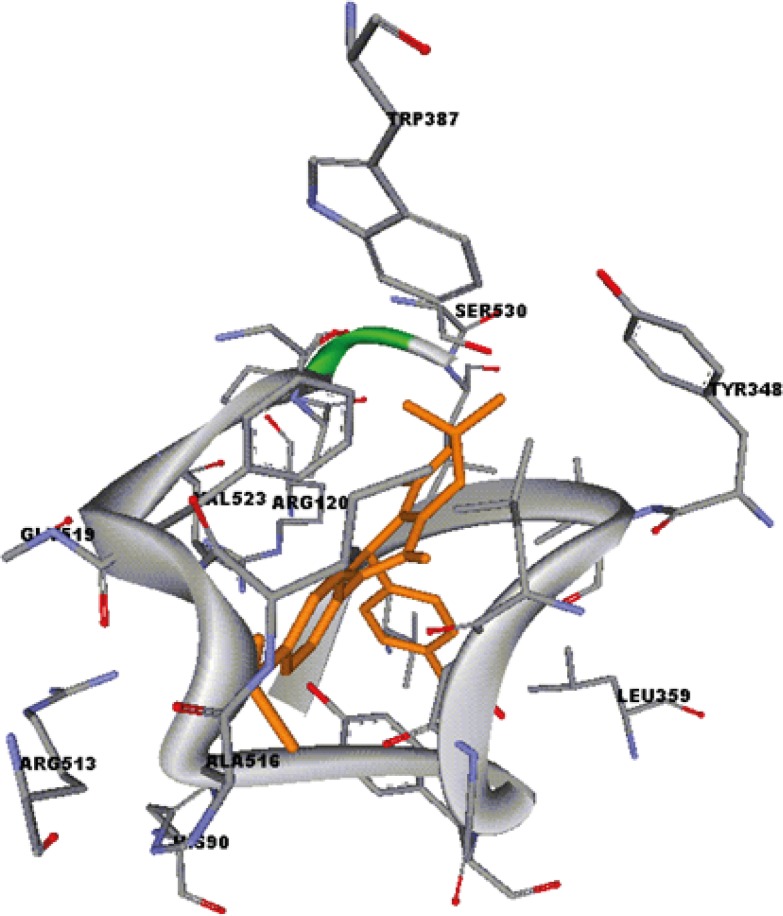 7, 8-Dihydro-2-(4-methoxyphenyl)-7,7-dimethyl-4-(4-(methylsulfonyl)phenyl)quinolin-5(1H, 4H,6H)-one (9c) (orange) docked in the active site of murine COX-2. Hydrogen atoms of the amino acid residues have been removed to improve clarity
