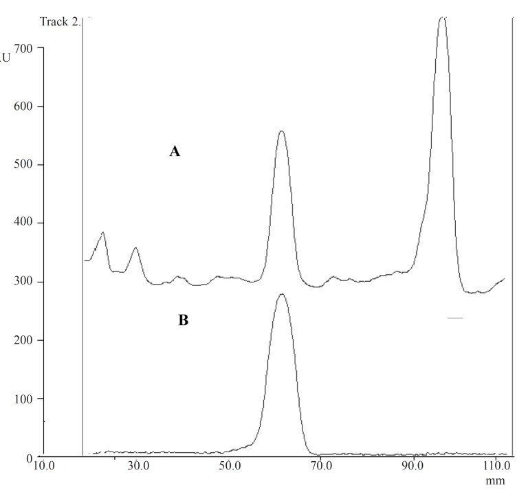(A) TLC-densitometric chromatograms of Chaste tree extract (B) aucubin standard solution.