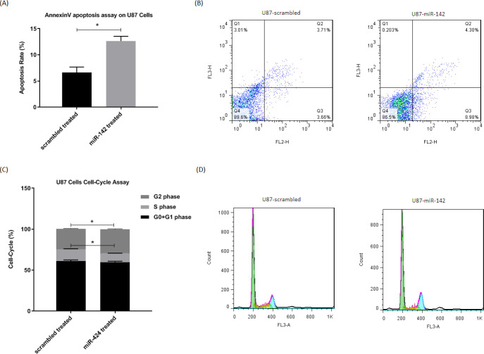 The miR-142 overexpression causes apoptosis and cell-cycle arrest in U-87 cells. A, B. Flow cytometry results show a significantly higher number of apoptotic cells at 72 h after transduction by miR-142 in comparison with the control group in Annexin V-PE/7AAD assay. C, D. Cell-cycle analysis at 72 h after transduction revealed that miR-142 transduced U-87 cells are significantly less at the S phase, and they are arrested at the G2 phase compared to the control group. Data are shown as mean ± SD of biological repeats (*P < 0.05). SD: standard deviation