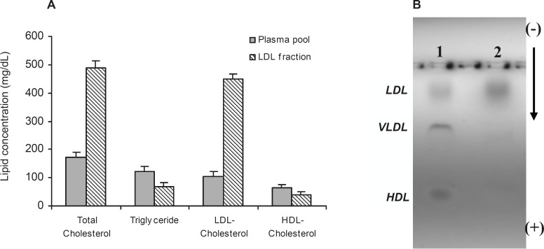 (A) †Comparison of lipid concentrations in plasma pool and LDL fraction. (B) Electrophoresis of plasma (Lane 1) and LDL fraction (Lane 2) on 0.8% agarose gel. Values have represented as mean ± SD of triplicate determinations. LDL=Low density lipoprotein, VLDL=Very low density lipoprotein, HDL=High density lipoprotein