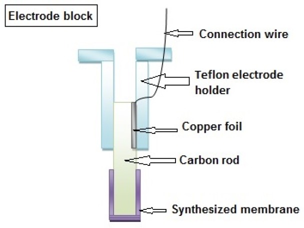 Block diagram of proposed electrode