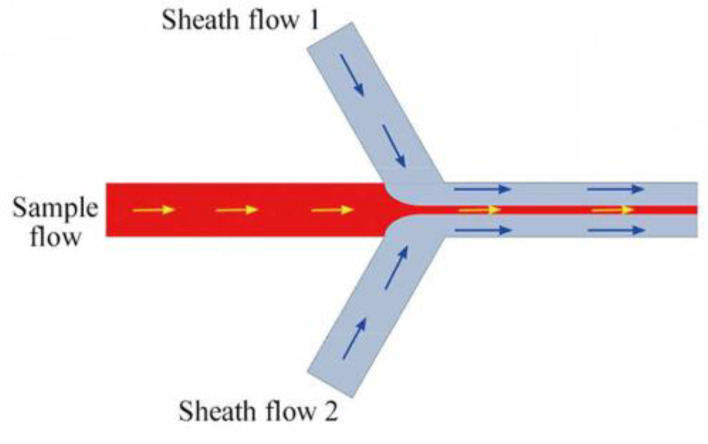 A microfluidic reactor with flow focusing geometry (Adapted with permission from Royal Society of Chemistry (35)).