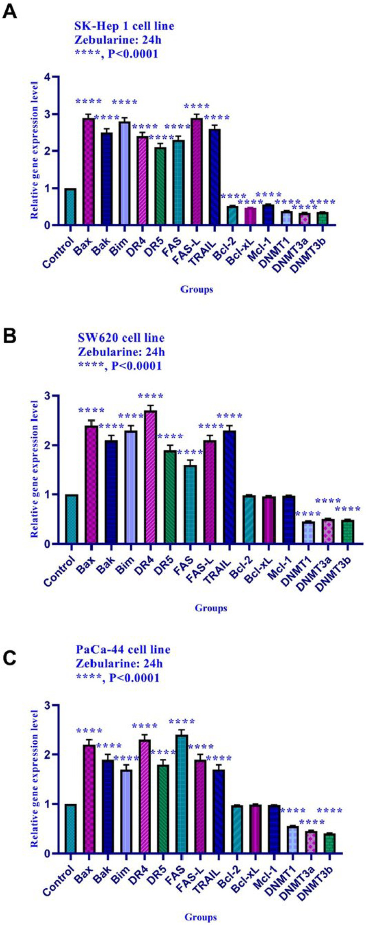 The relative expression level of Bim, Bax, Bak, Bcl-xL, Bcl-2, Mcl-1, DR4, DR5, FAS, FAS-L, TRAIL, DNA methyltransferase 1, 3a, and 3b, and histone deacetylase inhibitors 1, 2, and 3 in SK-Hep 1, SW620, and PaCa-44 cells treated with zebularine at 24 h. Quantitative reverse transcription-polymerase chain reaction analysis demonstrated that this compound up-regulated the expression of Bax, Bak, Bim, DR4, DR5, FAS, FAS-L, TRAIL, and down-regulated the expression of Bcl-2, Mcl-1, Bcl-xL, DNA methyltransferase 1, 3a, and 3b significantly. This compound had no significant effect on Bcl-2, Mcl-1, and Bcl-xLgene expression in SW620, and PaCa-44 cell lines. Asterisks indicate significant differences between treated cells and the control groups. Data are presented as means ± standard error of the mean. ****P < 0.0001