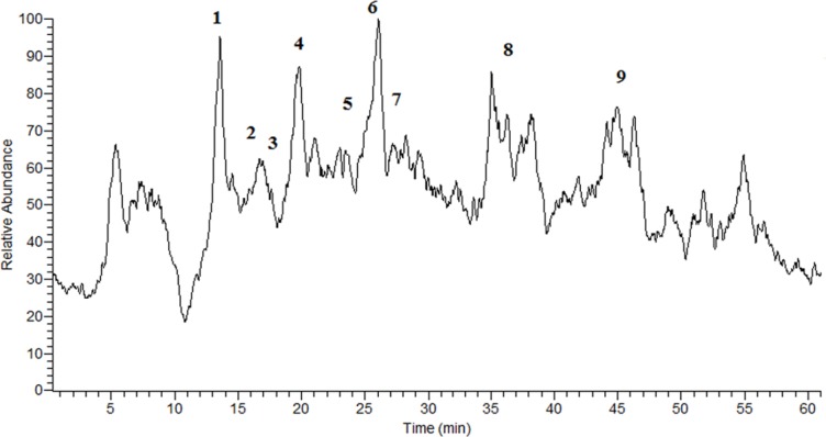 The TIC chromatogram of the G. glabra extract obtained in NI mode.