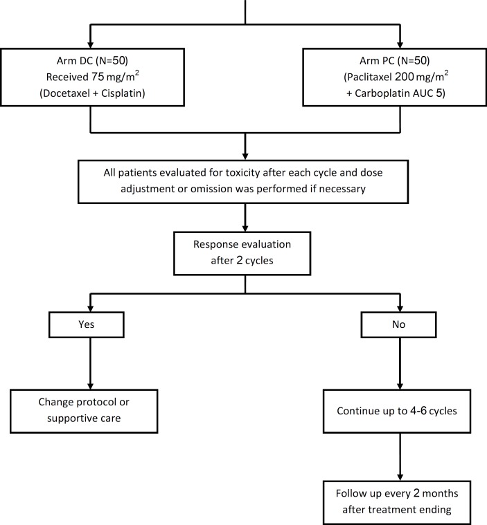 Diagram of the study; clinical trial flow chart. A total of 100 patients received study treatment consisting of at least one dose of Docetaxel / Cisplatin (DC; n = 50) or Paclitaxel/Carboplatin (PC; n = 50).